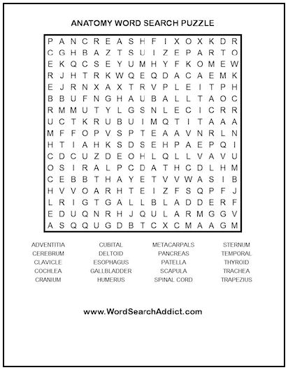 Anatomy Printable Word Search Puzzle Word Search Addict